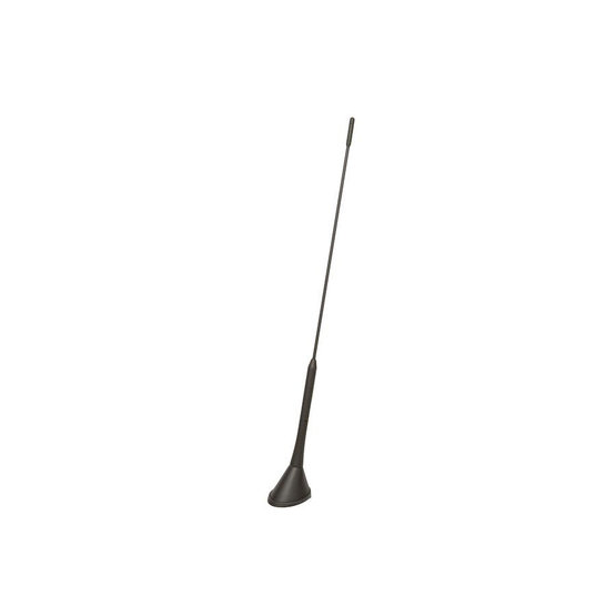 CAL-7677906 Calearo antenna AM FM rear