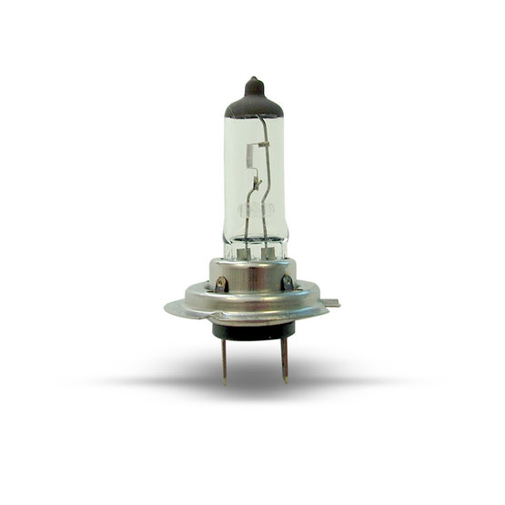 Halogen bulb MA-H7 24V