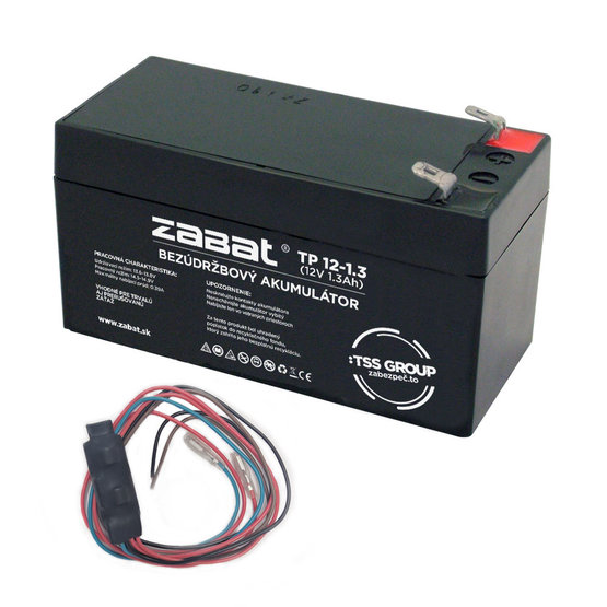 ZDR GM50 backup accumulator
