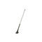 CAL-7677901 Calearo antenna AM FM amplified rear