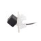 BC SMT-65 Rearview camera Smart ForTwo