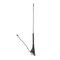 CAL-7677870 Calearo Antenna 16V AM FM